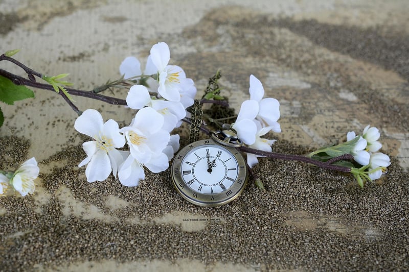 Time Traveler